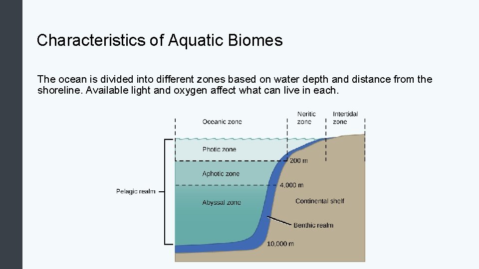 Characteristics of Aquatic Biomes The ocean is divided into different zones based on water