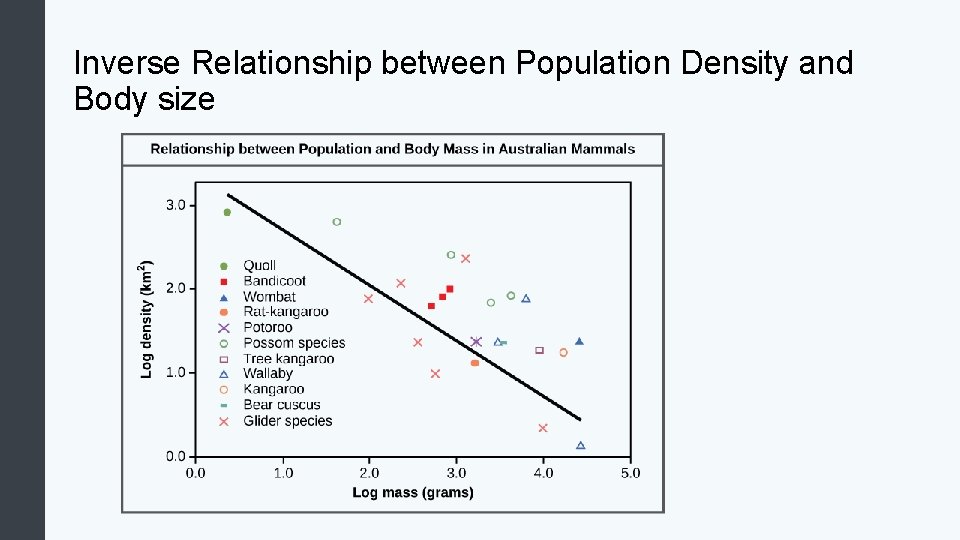 Inverse Relationship between Population Density and Body size 