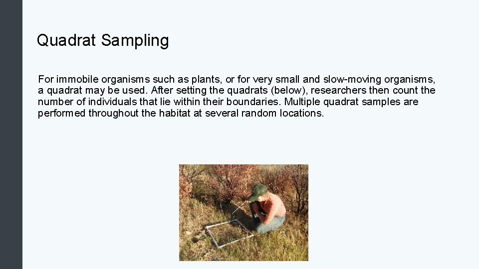 Quadrat Sampling For immobile organisms such as plants, or for very small and slow-moving