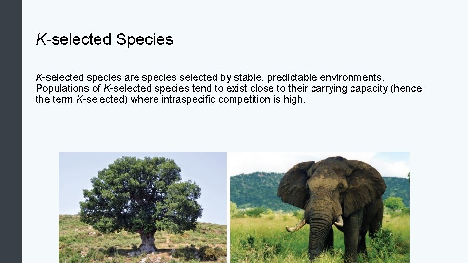 K-selected Species K-selected species are species selected by stable, predictable environments. Populations of K-selected