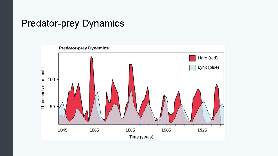 Predator-prey Dynamics 