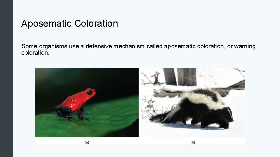 Aposematic Coloration Some organisms use a defensive mechanism called aposematic coloration, or warning coloration.