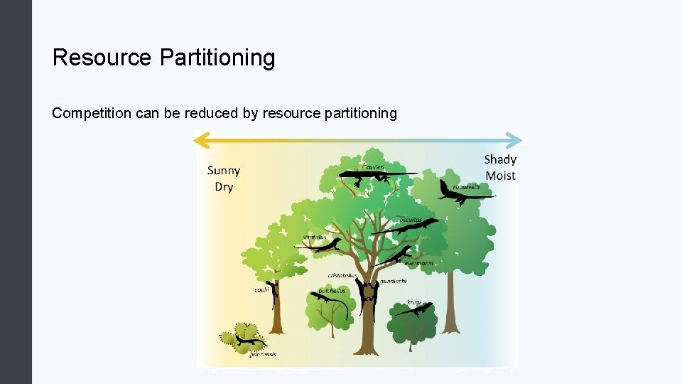 Resource Partitioning Competition can be reduced by resource partitioning 