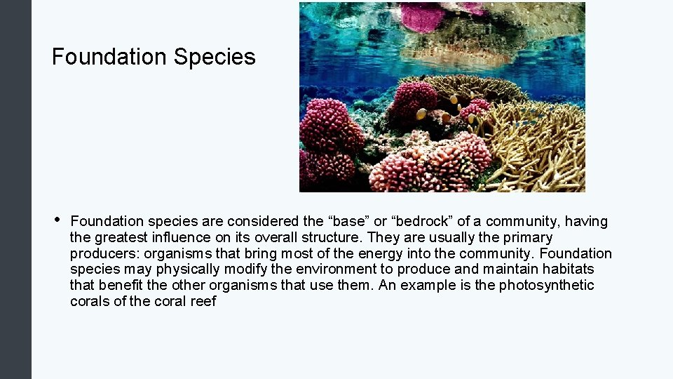 Foundation Species • Foundation species are considered the “base” or “bedrock” of a community,