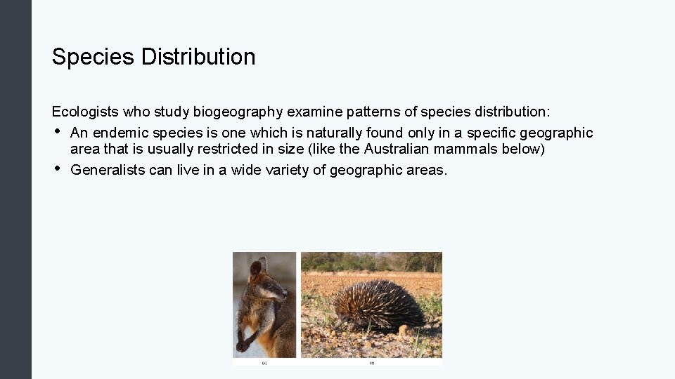 Species Distribution Ecologists who study biogeography examine patterns of species distribution: • An endemic