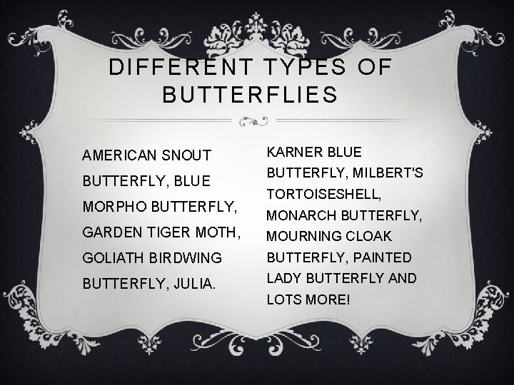 DIFFERENT TYPES OF BUTTERFLIES AMERICAN SNOUT BUTTERFLY, BLUE MORPHO BUTTERFLY, KARNER BLUE BUTTERFLY, MILBERT'S