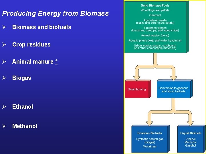Producing Energy from Biomass Ø Biomass and biofuels Ø Crop residues Ø Animal manure