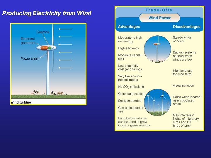 Producing Electricity from Wind 