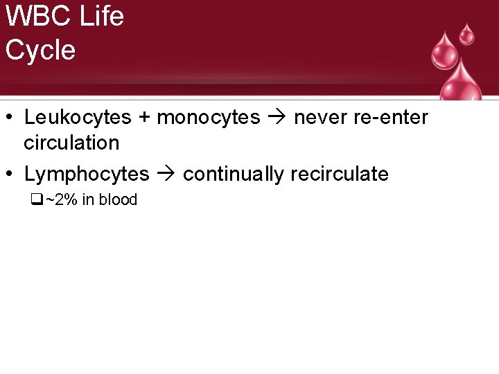 WBC Life Cycle • Leukocytes + monocytes never re-enter circulation • Lymphocytes continually recirculate
