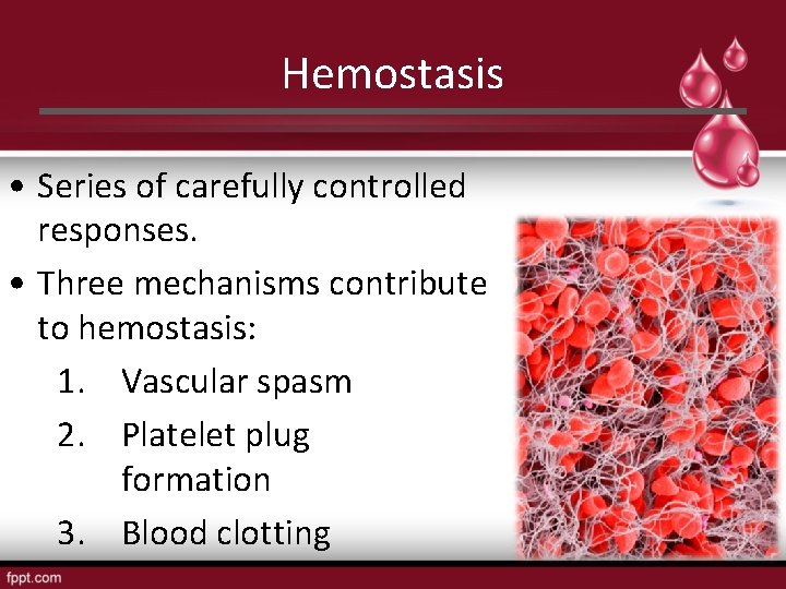 Hemostasis • Series of carefully controlled responses. • Three mechanisms contribute to hemostasis: 1.