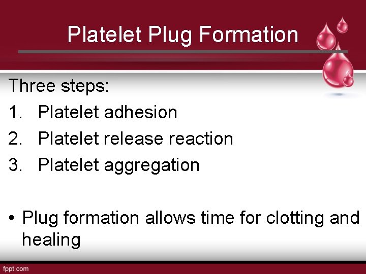 Platelet Plug Formation Three steps: 1. Platelet adhesion 2. Platelet release reaction 3. Platelet