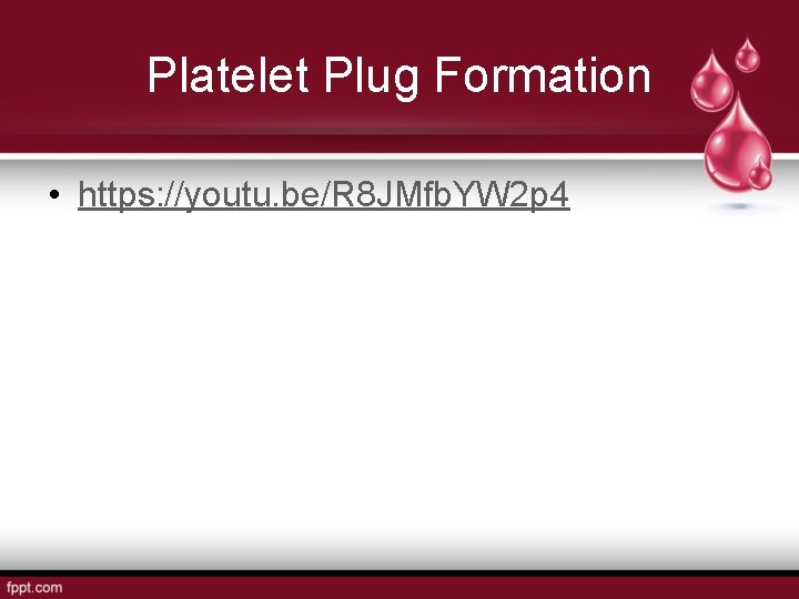 Platelet Plug Formation • https: //youtu. be/R 8 JMfb. YW 2 p 4 