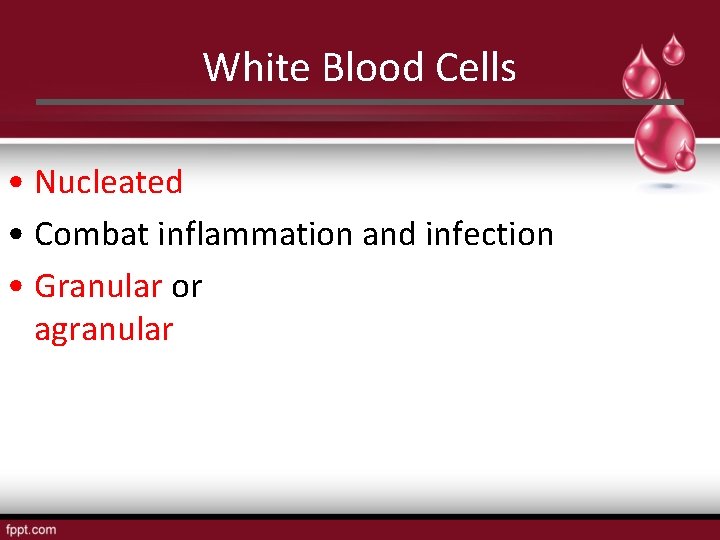 White Blood Cells • Nucleated • Combat inflammation and infection • Granular or agranular