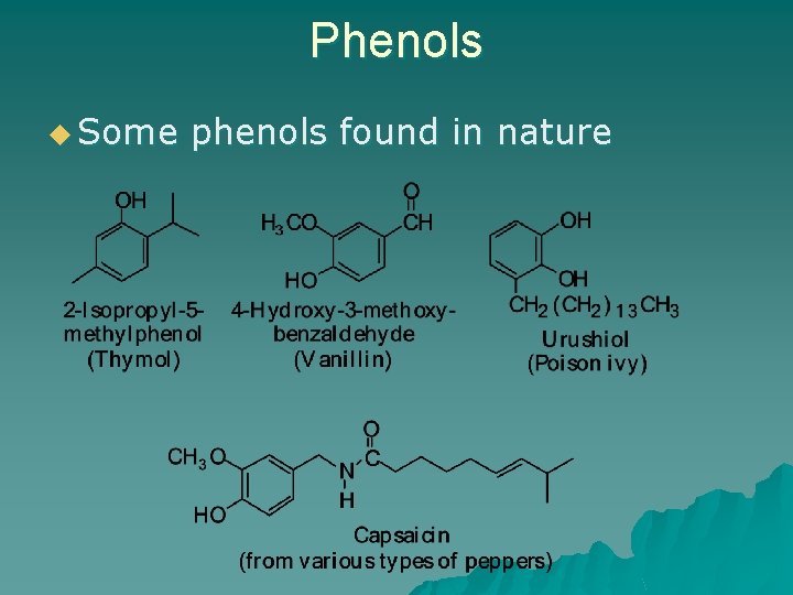 Phenols u Some phenols found in nature 