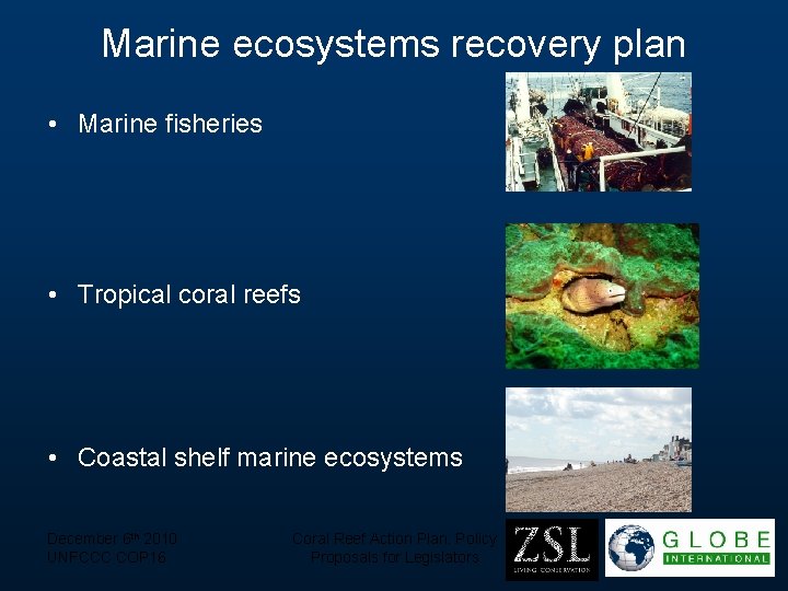 Marine ecosystems recovery plan • Marine fisheries • Tropical coral reefs • Coastal shelf