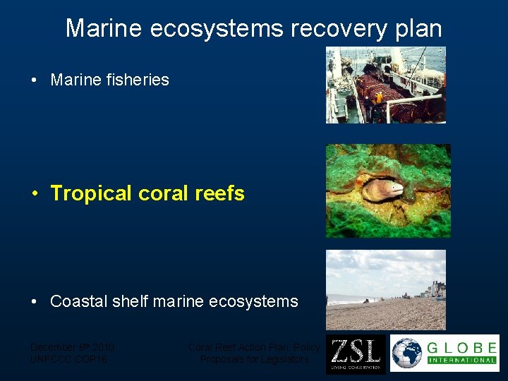 Marine ecosystems recovery plan • Marine fisheries • Tropical coral reefs • Coastal shelf