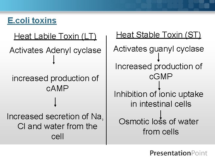 E. coli toxins Heat Labile Toxin (LT) Heat Stable Toxin (ST) Activates Adenyl cyclase
