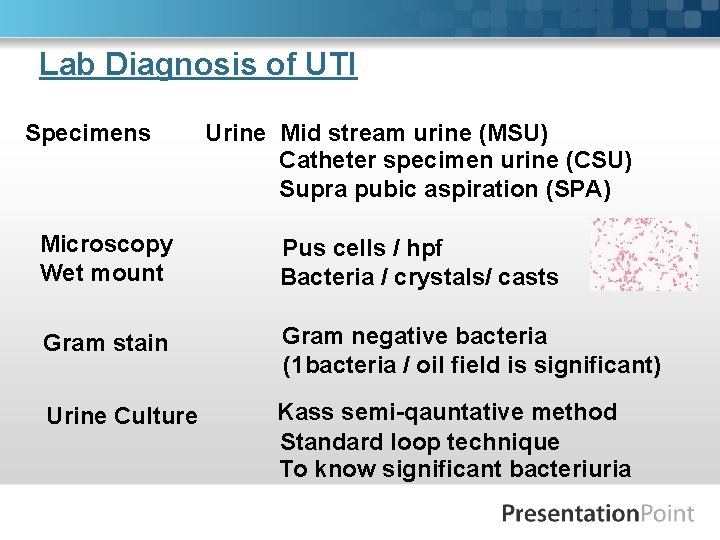 Lab Diagnosis of UTI Specimens Urine Mid stream urine (MSU) Catheter specimen urine (CSU)