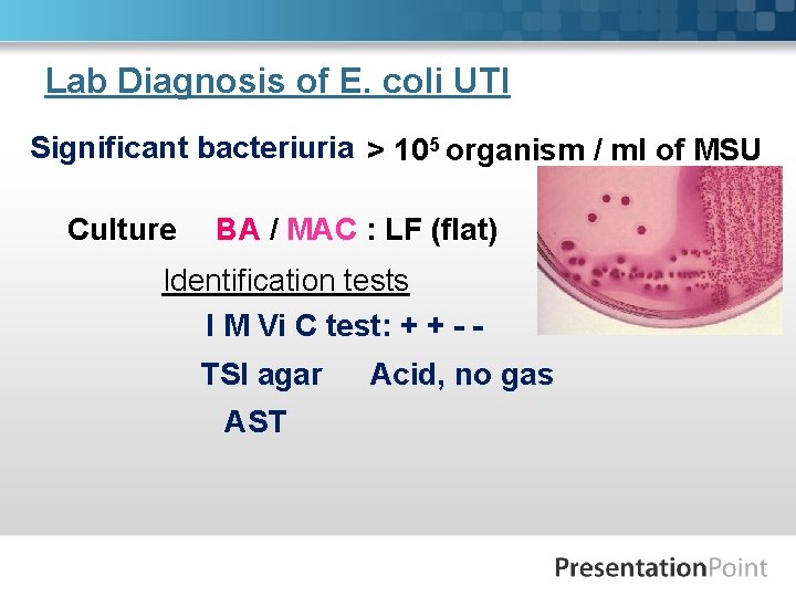 Lab Diagnosis of E. coli UTI Significant bacteriuria > 105 organism / ml of