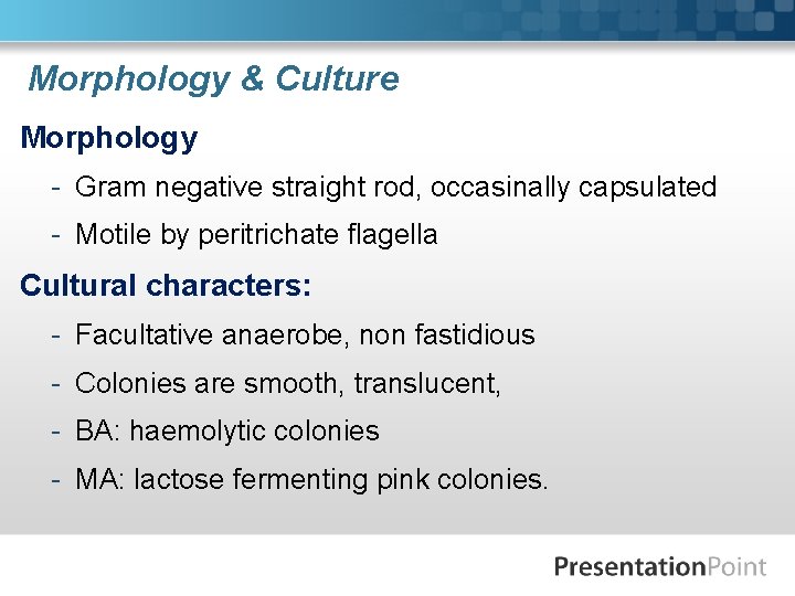 Morphology & Culture Morphology - Gram negative straight rod, occasinally capsulated - Motile by