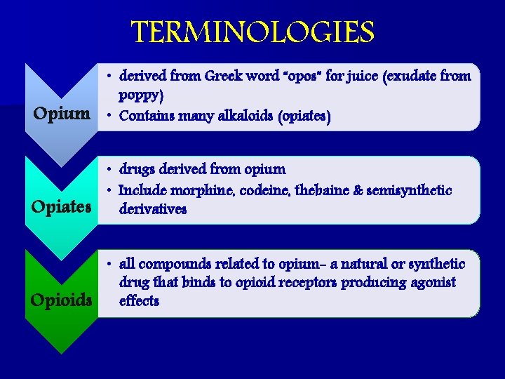 TERMINOLOGIES Opium • derived from Greek word “opos” for juice (exudate from poppy) •