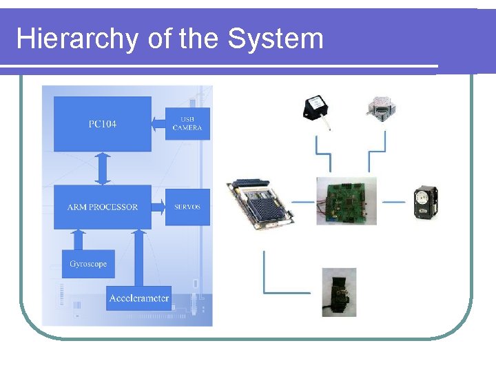 Hierarchy of the System 