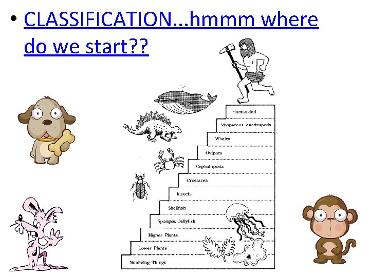  • CLASSIFICATION. . . hmmm where do we start? ? 