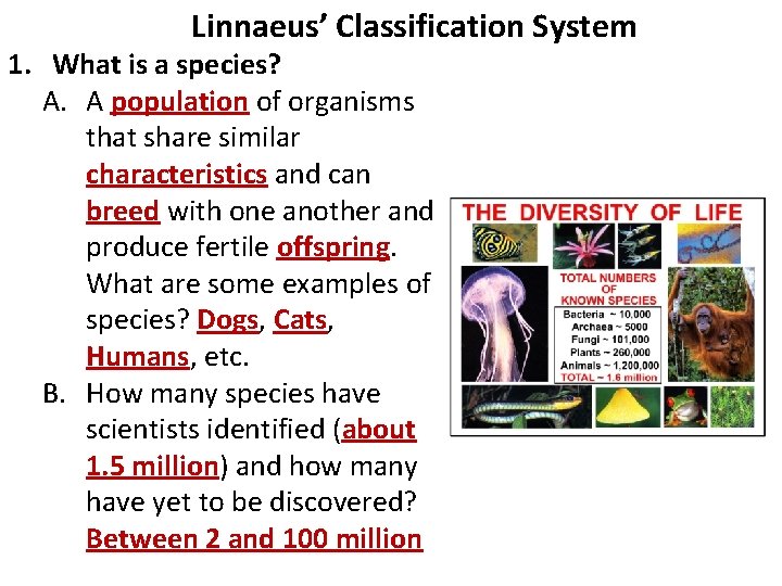 Linnaeus’ Classification System 1. What is a species? A. A population of organisms that