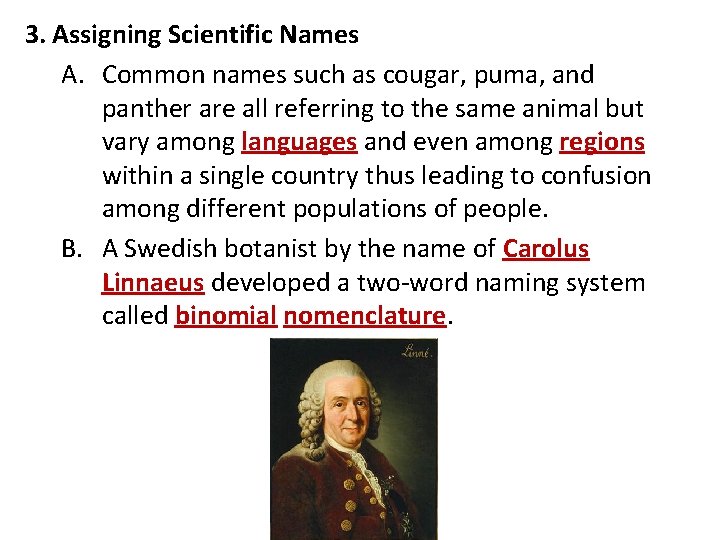 3. Assigning Scientific Names A. Common names such as cougar, puma, and panther are