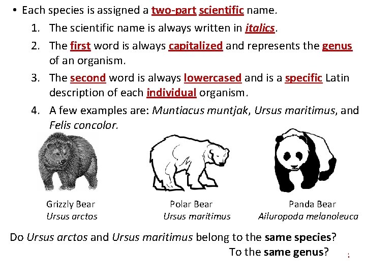  • Each species is assigned a two-part scientific name. 1. The scientific name