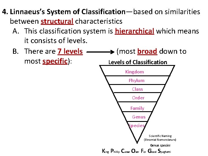 4. Linnaeus’s System of Classification—based on similarities between structural characteristics A. This classification system