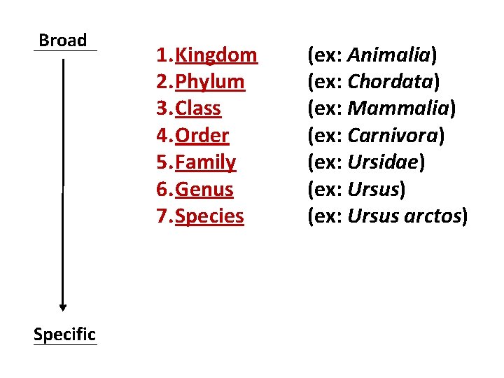 Broad Specific 1. Kingdom 2. Phylum 3. Class 4. Order 5. Family 6. Genus