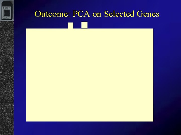 Outcome: PCA on Selected Genes 