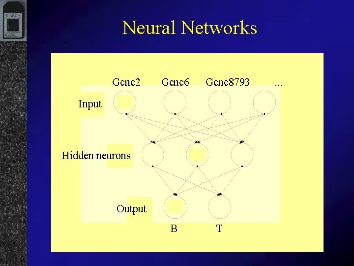 Neural Networks Gene 2 Gene 6 Gene 8793 Input Hidden neurons Output B T