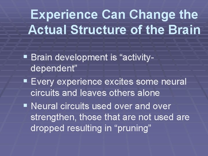 Experience Can Change the Actual Structure of the Brain § Brain development is “activitydependent”