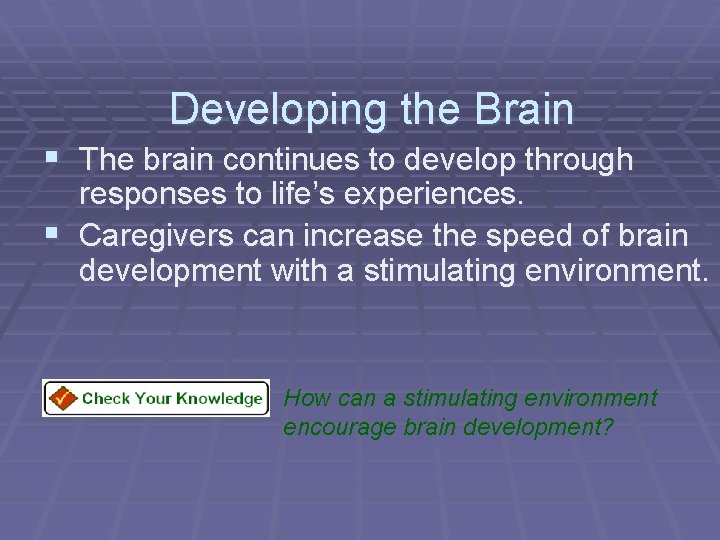 Developing the Brain § The brain continues to develop through responses to life’s experiences.