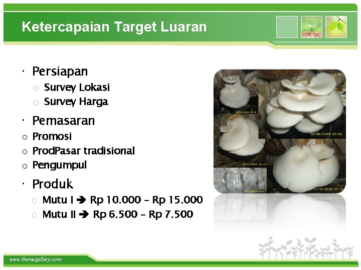 Ketercapaian Target Luaran Persiapan o Survey Lokasi o Survey Harga Pemasaran o Promosi o