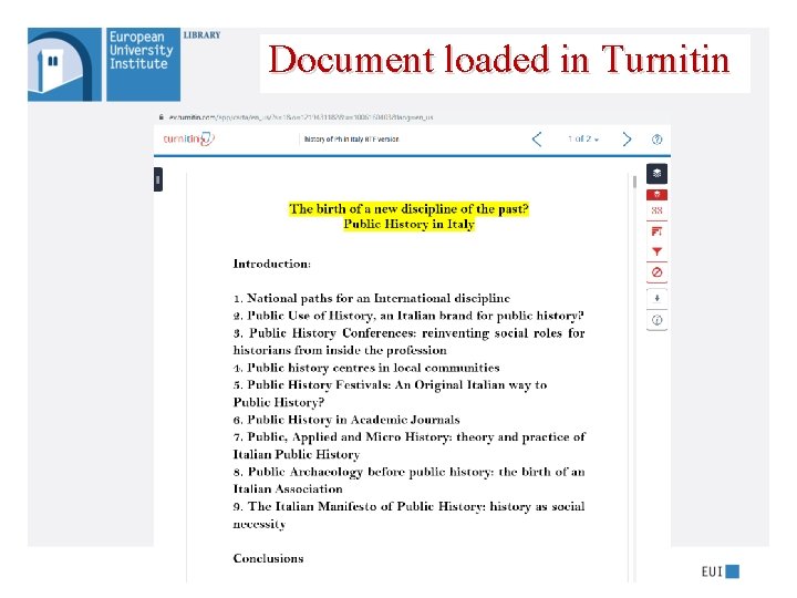 Document loaded in Turnitin 