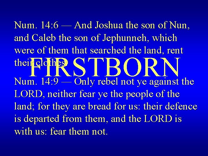 Num. 14: 6 — And Joshua the son of Nun, and Caleb the son