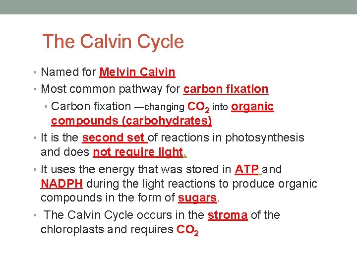 The Calvin Cycle • Named for Melvin Calvin • Most common pathway for carbon