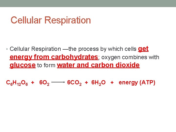 Cellular Respiration • Cellular Respiration —the process by which cells get energy from carbohydrates;