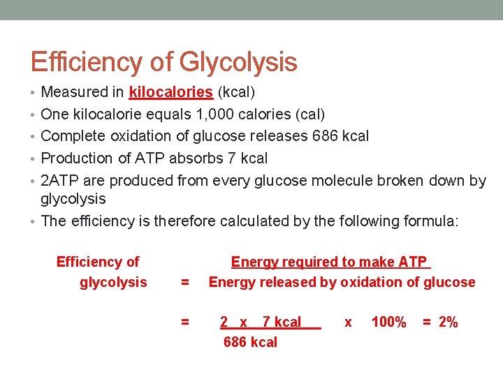 Efficiency of Glycolysis • Measured in kilocalories (kcal) • One kilocalorie equals 1, 000
