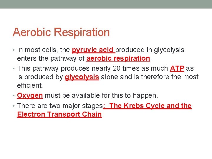 Aerobic Respiration • In most cells, the pyruvic acid produced in glycolysis enters the