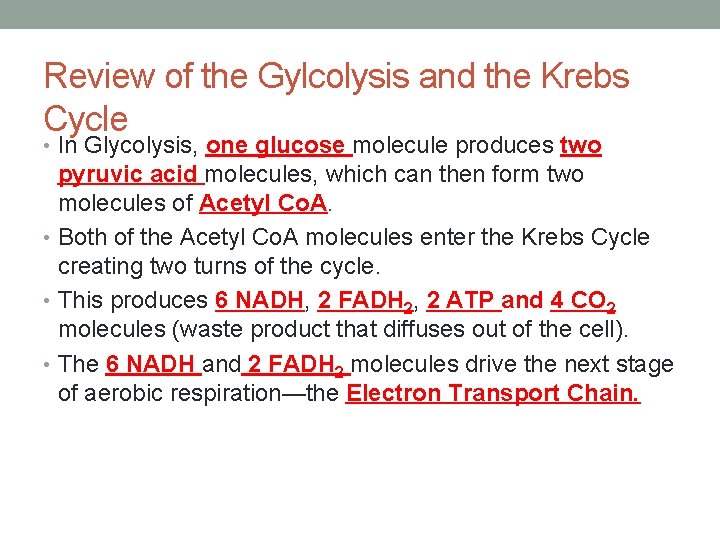 Review of the Gylcolysis and the Krebs Cycle • In Glycolysis, one glucose molecule