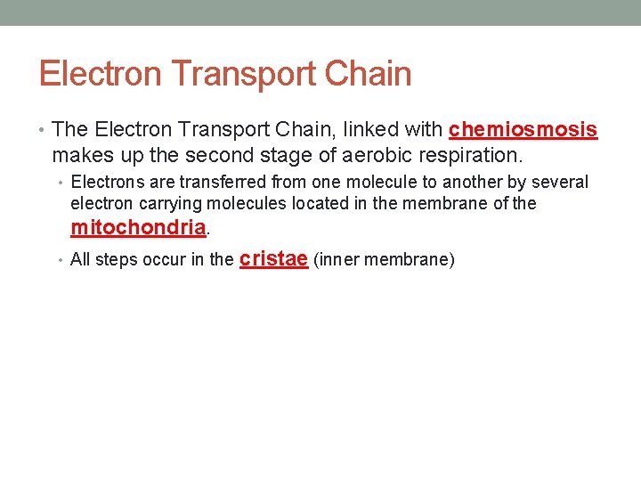 Electron Transport Chain • The Electron Transport Chain, linked with chemiosmosis makes up the