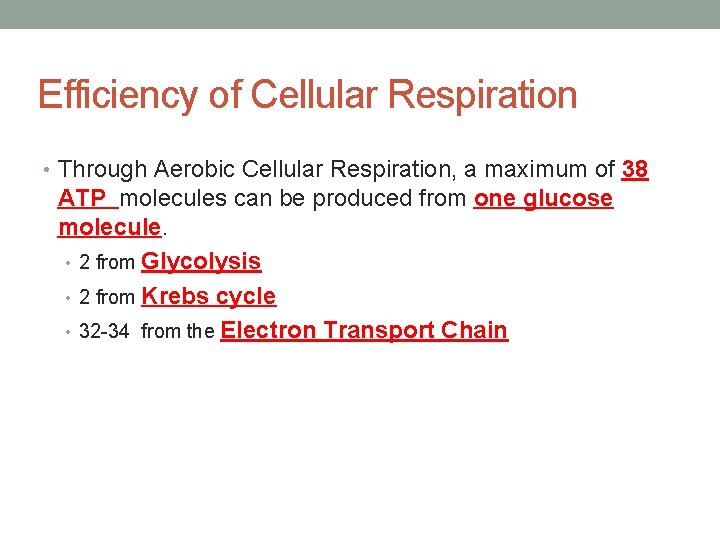 Efficiency of Cellular Respiration • Through Aerobic Cellular Respiration, a maximum of 38 ATP