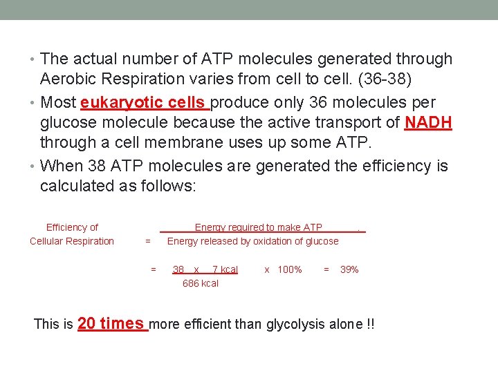  • The actual number of ATP molecules generated through Aerobic Respiration varies from