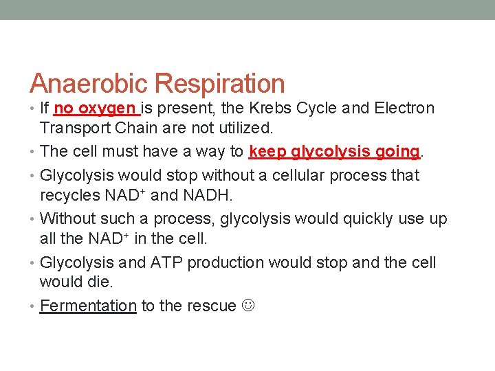 Anaerobic Respiration • If no oxygen is present, the Krebs Cycle and Electron Transport