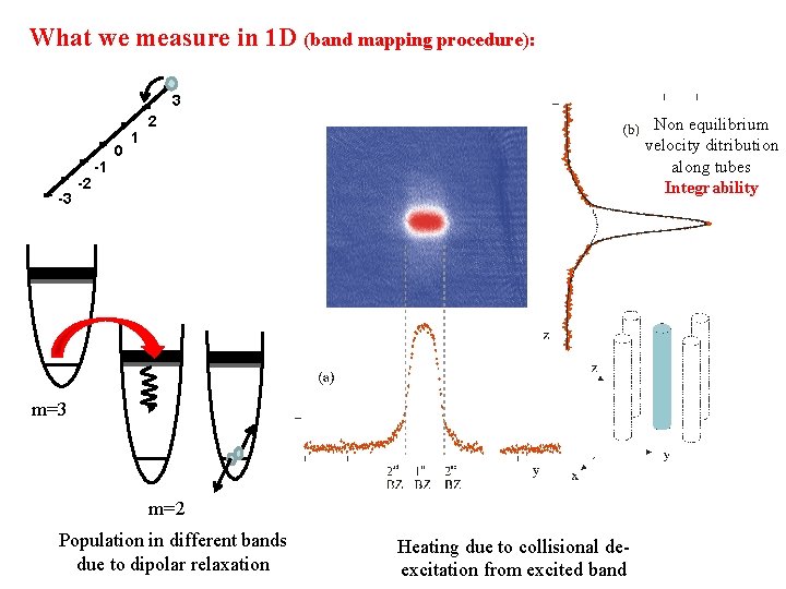 What we measure in 1 D (band mapping procedure): 3 0 -3 -2 1 What we measure in 1 D (band mapping procedure): 3 0 -3 -2 1