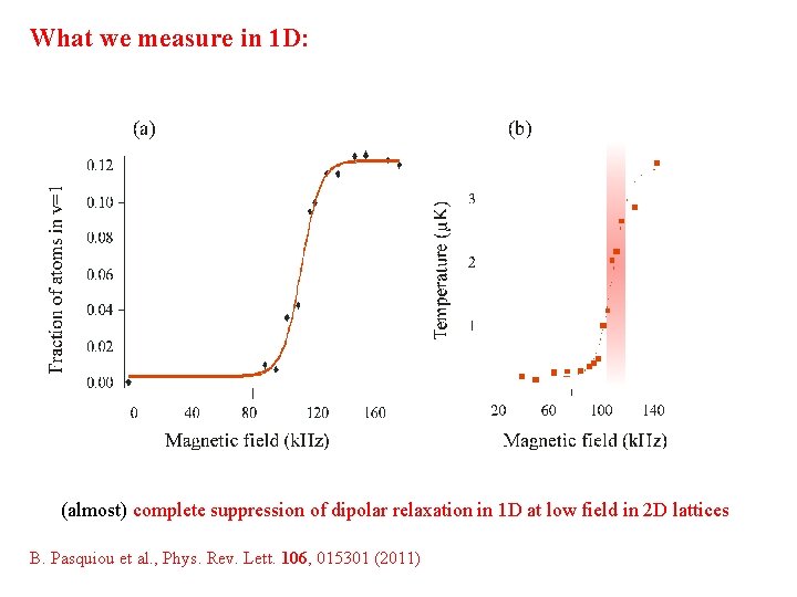 What we measure in 1 D: (almost) complete suppression of dipolar relaxation in 1 What we measure in 1 D: (almost) complete suppression of dipolar relaxation in 1